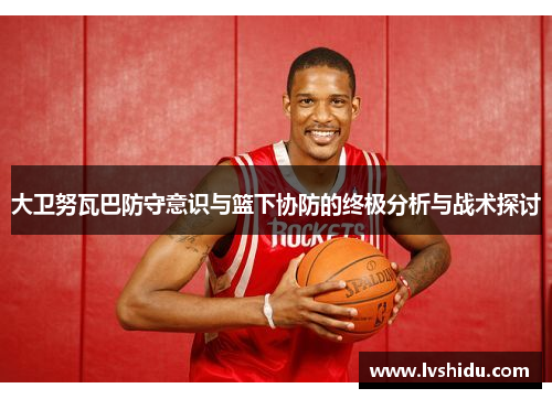 大卫努瓦巴防守意识与篮下协防的终极分析与战术探讨