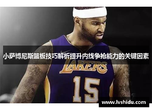 小萨博尼斯篮板技巧解析提升内线争抢能力的关键因素