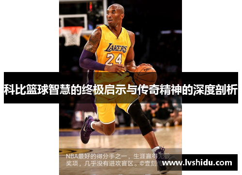科比篮球智慧的终极启示与传奇精神的深度剖析