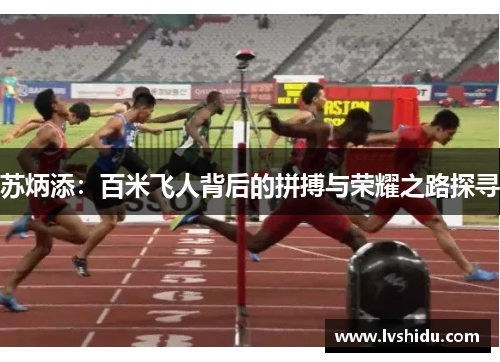 苏炳添：百米飞人背后的拼搏与荣耀之路探寻