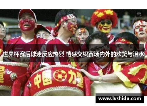 世界杯赛后球迷反应热烈 情感交织赛场内外的欢笑与泪水