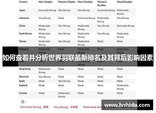 如何查看并分析世界羽联最新排名及其背后影响因素