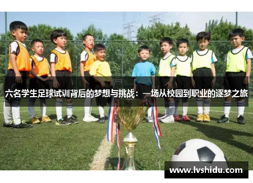 六名学生足球试训背后的梦想与挑战：一场从校园到职业的逐梦之旅